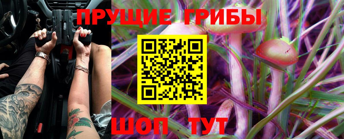 Нарткала  Псилоцибиновые грибы MAGIC MUSHROOMS  Вход с VPN 